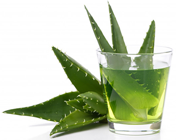 Herbal tinctures and natural wellness products